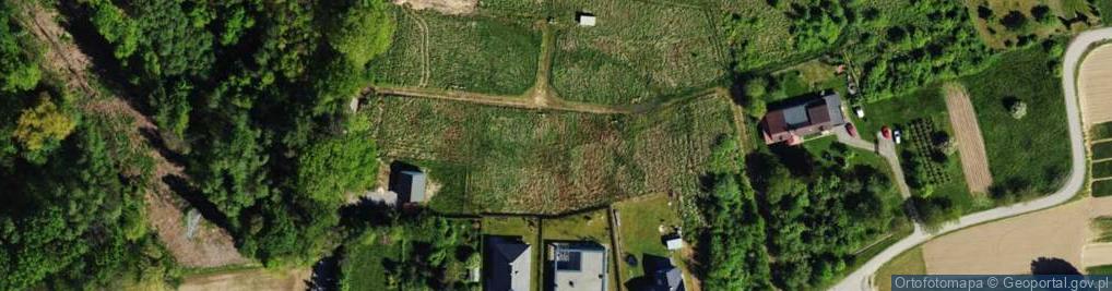 Zdjęcie satelitarne Lipowska ul.