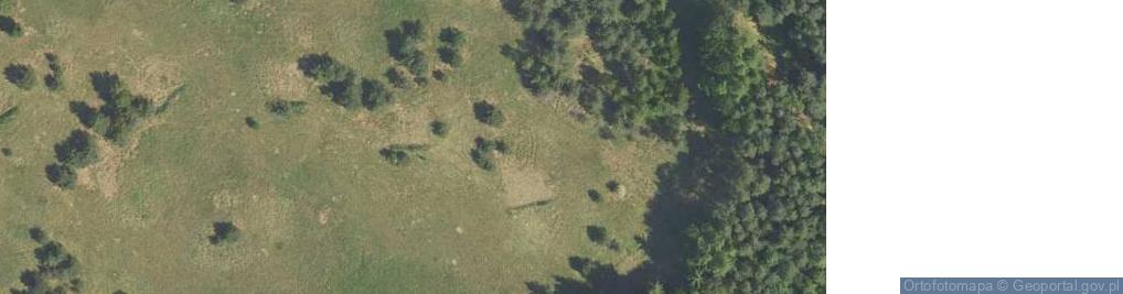 Zdjęcie satelitarne Liliowa ul.