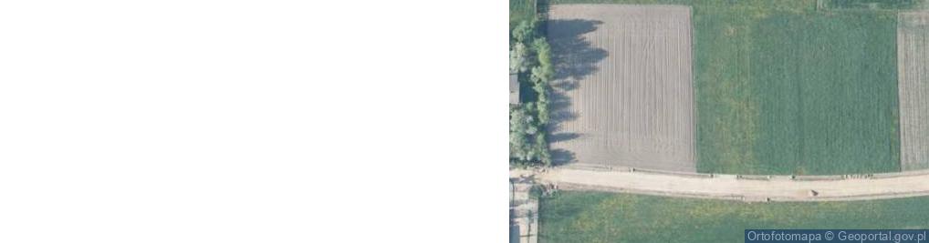 Zdjęcie satelitarne Litewska ul.