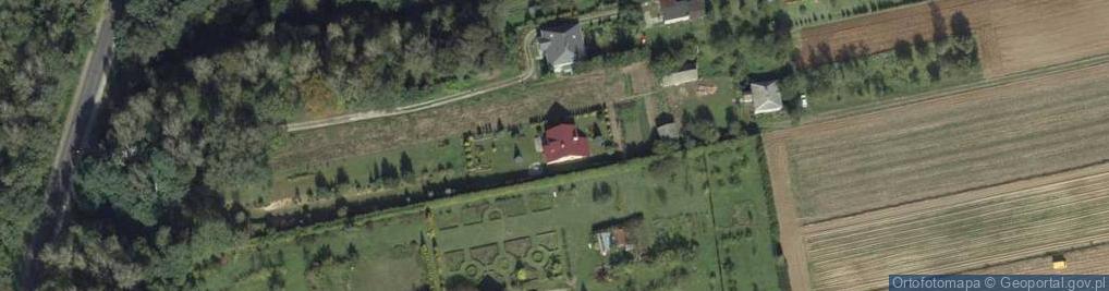 Zdjęcie satelitarne Lipowa ul.