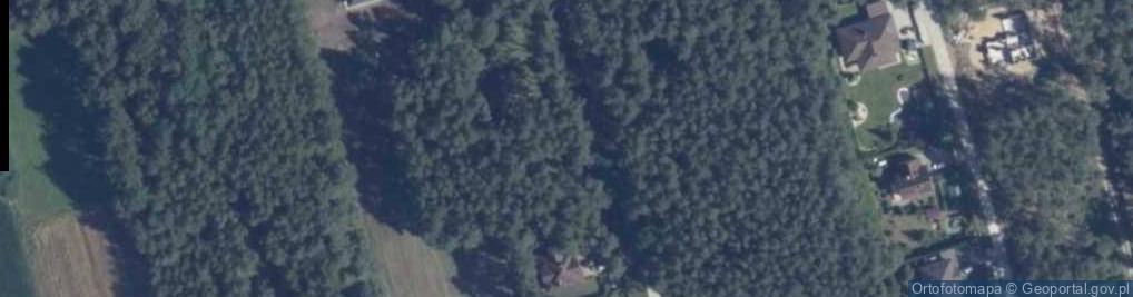 Zdjęcie satelitarne Liściasta ul.