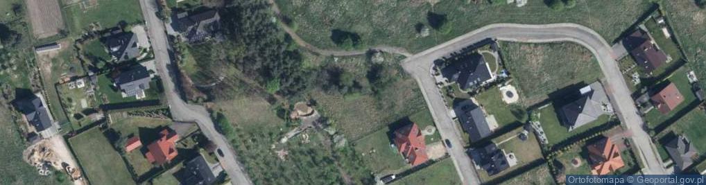 Zdjęcie satelitarne Litewska ul.