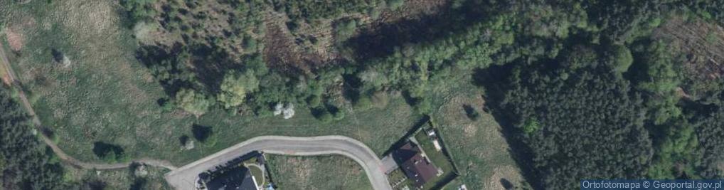 Zdjęcie satelitarne Litewska ul.