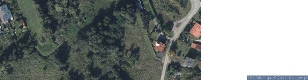 Zdjęcie satelitarne Lisia ul.