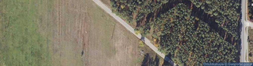 Zdjęcie satelitarne Lipowa ul.