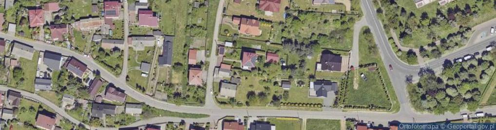 Zdjęcie satelitarne Litewska ul.