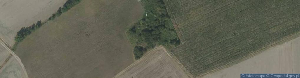 Zdjęcie satelitarne Ligota Bialska ul.