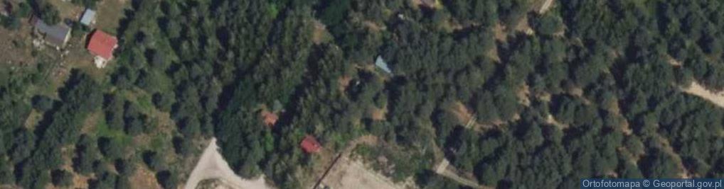 Zdjęcie satelitarne Linin ul.