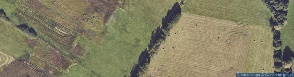 Zdjęcie satelitarne Linne ul.