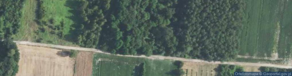 Zdjęcie satelitarne Linów-Kolonia ul.