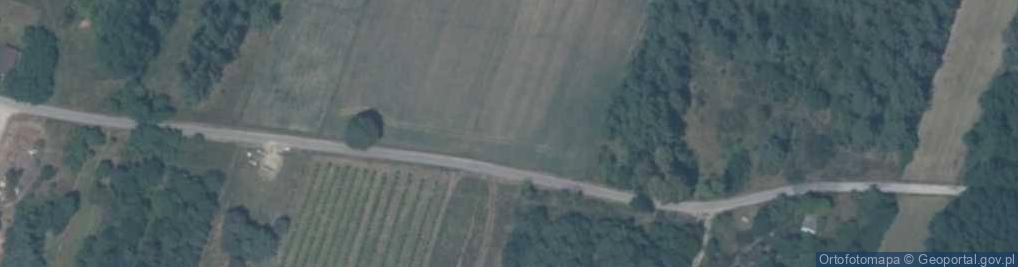 Zdjęcie satelitarne Lipskie Budy ul.