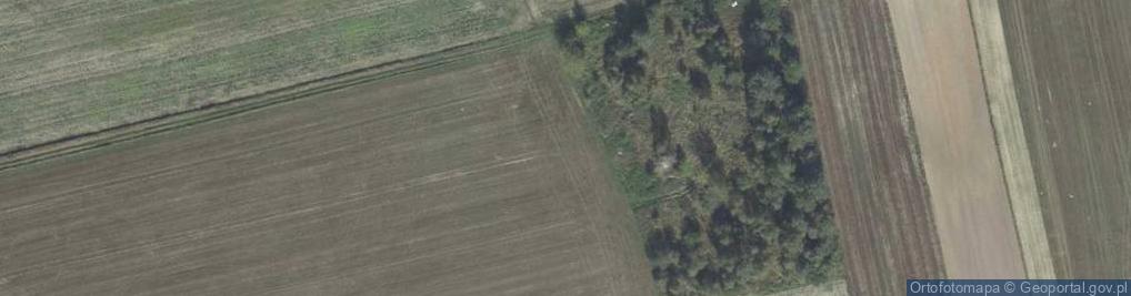 Zdjęcie satelitarne Liski ul.