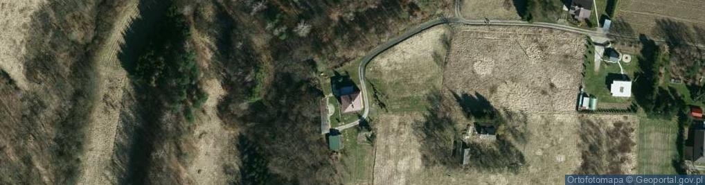 Zdjęcie satelitarne Lisów ul.