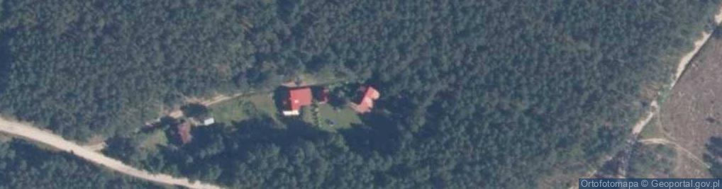 Zdjęcie satelitarne Lizaki ul.