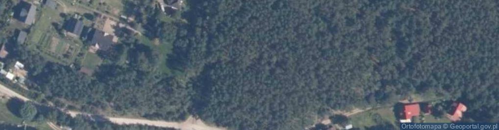 Zdjęcie satelitarne Lizaki ul.