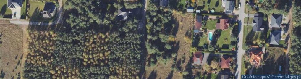 Zdjęcie satelitarne Lisia ul.