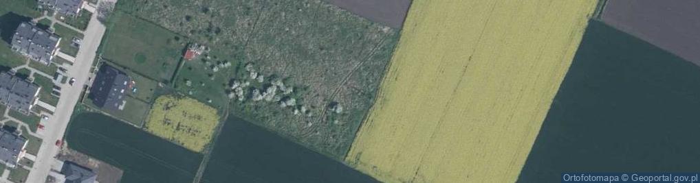 Zdjęcie satelitarne Liliowa ul.