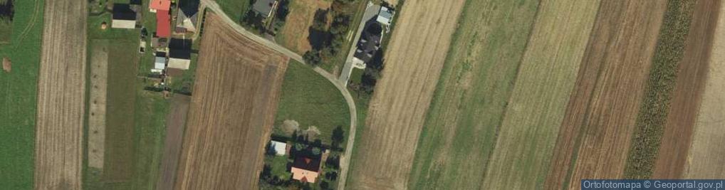 Zdjęcie satelitarne Lisia ul.