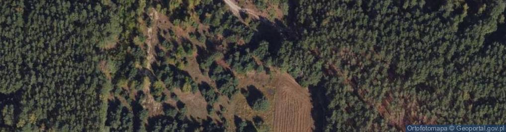 Zdjęcie satelitarne Lisia ul.