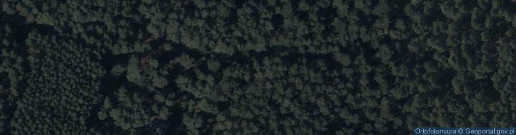 Zdjęcie satelitarne Lipowa ul.