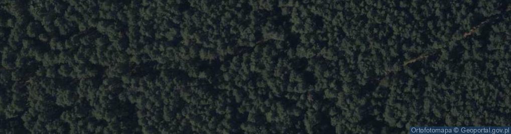 Zdjęcie satelitarne Lipowa ul.