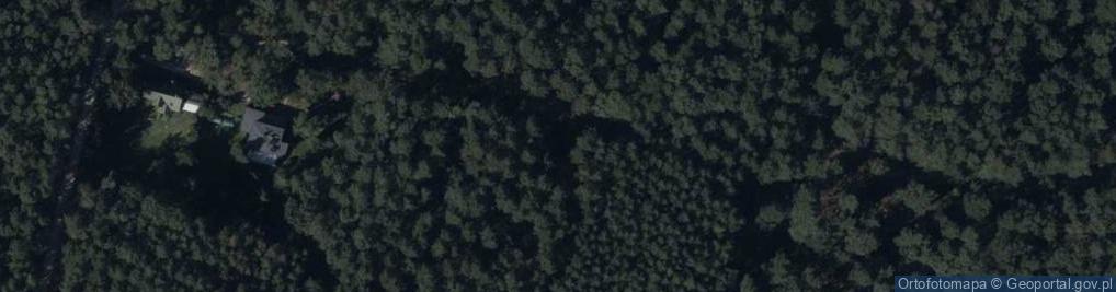 Zdjęcie satelitarne Lipowa ul.