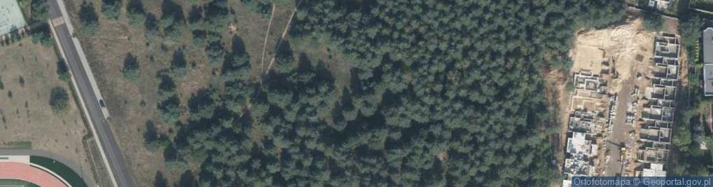 Zdjęcie satelitarne Liściasta ul.