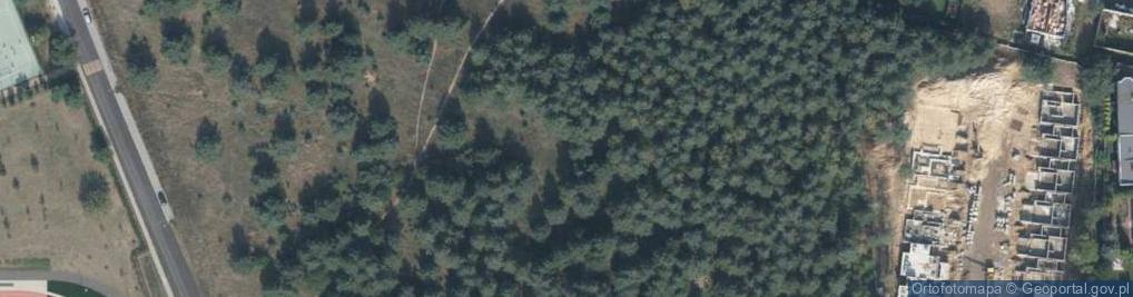 Zdjęcie satelitarne Liściasta ul.