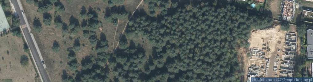 Zdjęcie satelitarne Liściasta ul.