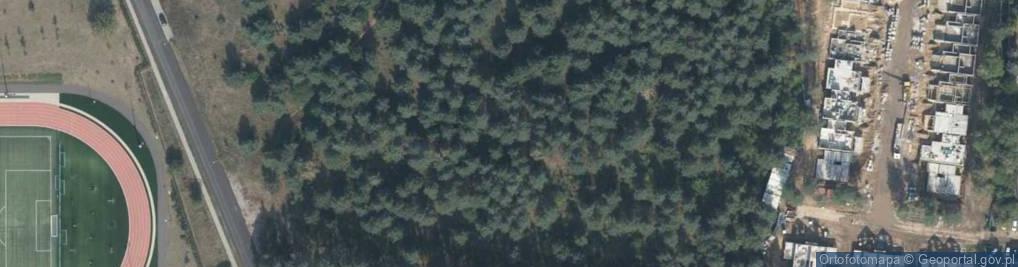 Zdjęcie satelitarne Liściasta ul.