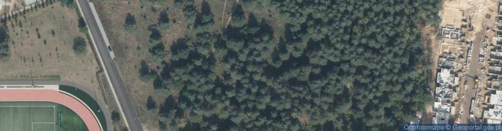 Zdjęcie satelitarne Liściasta ul.
