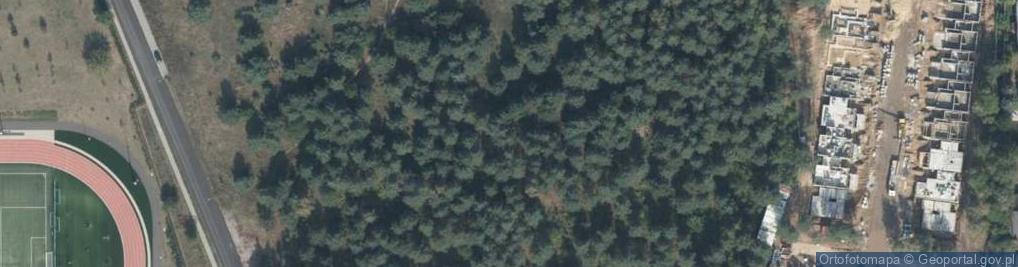 Zdjęcie satelitarne Liściasta ul.