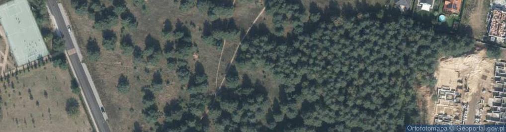 Zdjęcie satelitarne Liściasta ul.