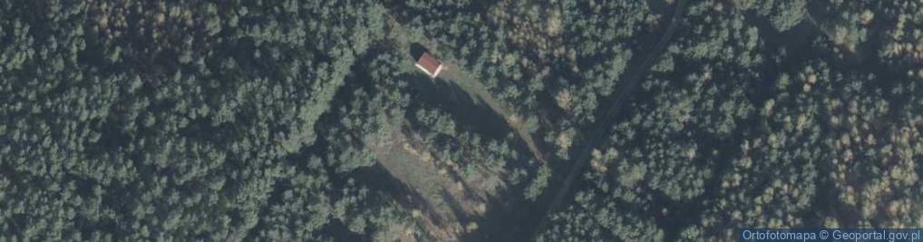 Zdjęcie satelitarne Lisia ul.