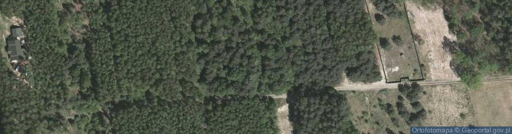Zdjęcie satelitarne Lipowa ul.