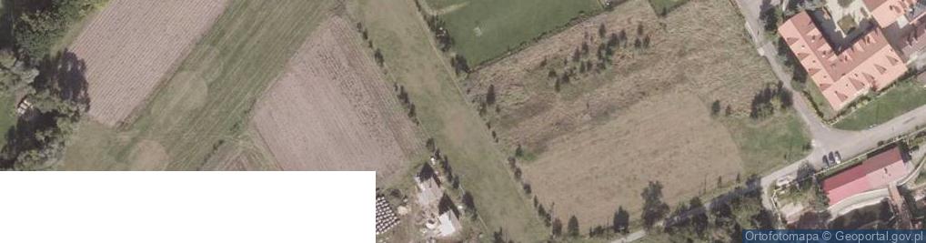 Zdjęcie satelitarne Liczyrzepy ul.