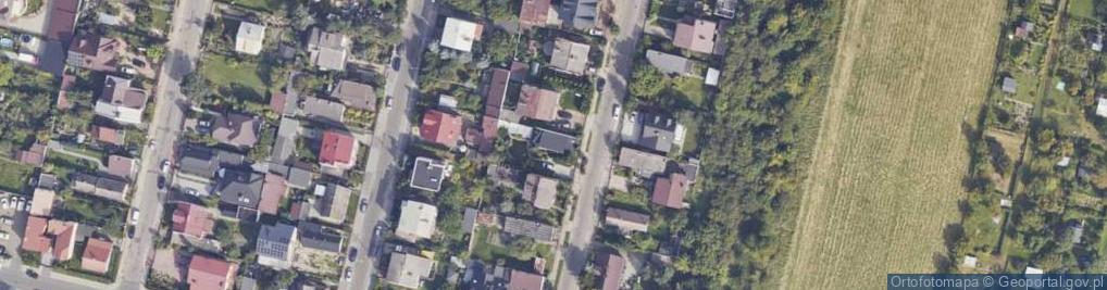 Zdjęcie satelitarne Litewska ul.