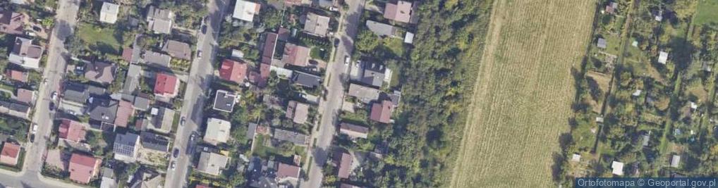 Zdjęcie satelitarne Litewska ul.