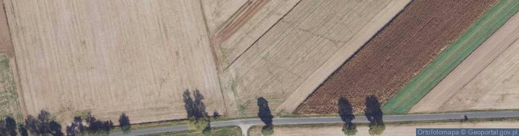 Zdjęcie satelitarne Lipowa ul.