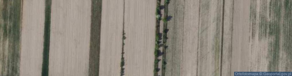 Zdjęcie satelitarne Lipowa ul.