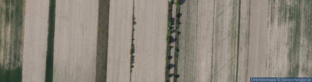 Zdjęcie satelitarne Lipowa ul.
