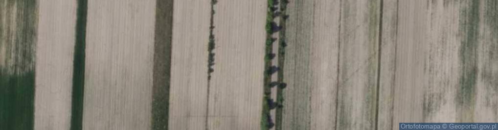 Zdjęcie satelitarne Lipowa ul.