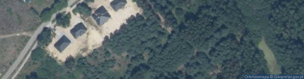 Zdjęcie satelitarne Lisia ul.