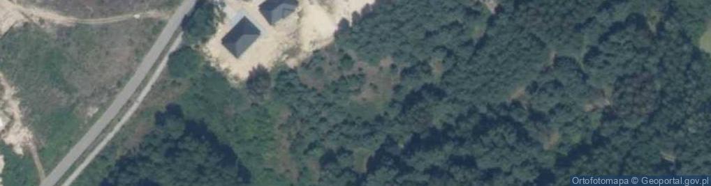 Zdjęcie satelitarne Lisia ul.
