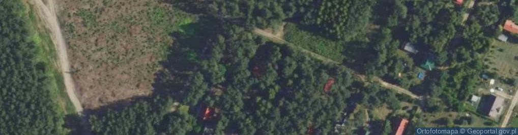 Zdjęcie satelitarne Lipowa ul.