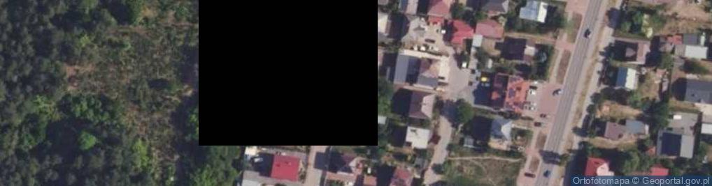 Zdjęcie satelitarne Lisia ul.