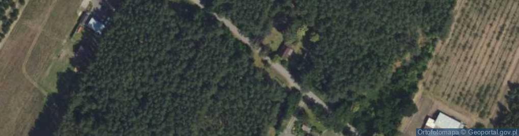 Zdjęcie satelitarne Lipowa ul.