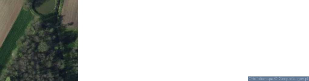 Zdjęcie satelitarne Lnisno ul.