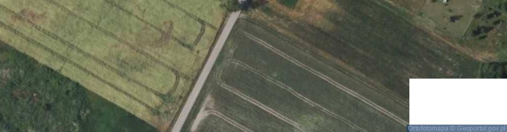 Zdjęcie satelitarne Łosewo ul.