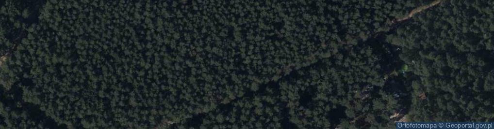 Zdjęcie satelitarne Łowiecka ul.